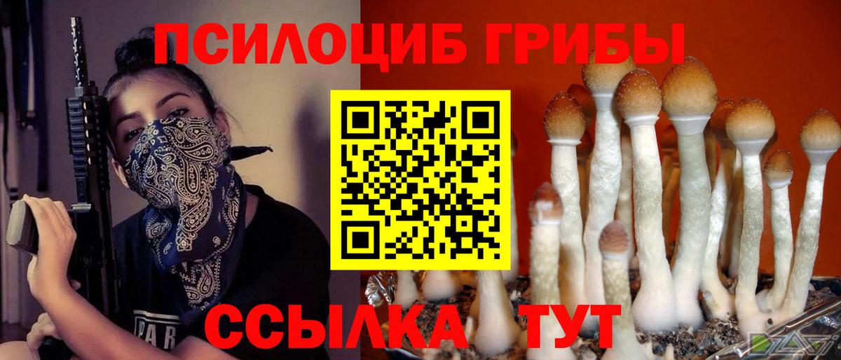 Заводоуковск  Псилоцибиновые грибы Psilocybine cubensis  Псилоцибиновые грибы Cubensis  Вход с VPN 